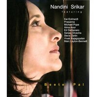 Nandini Srikar (@nandinisrikar) 's Twitter Profile
