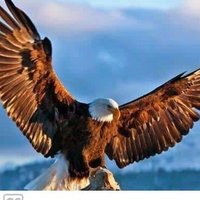 Asif Abro (@asif_abro123) 's Twitter Profile