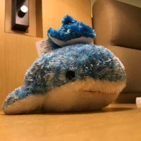 けんめい (@b231118) 's Twitter Profile