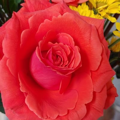 Olivercolb's profile picture. 🇺🇲🦅🇺🇲🦅