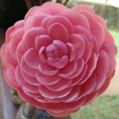 Amanda Villatoro Profile