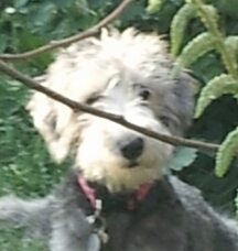 ENDEVOUR63's profile picture. 