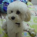 Louis Wei - @louiswei3553 - Twitter