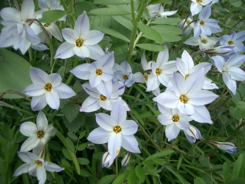 nattoudaisuki1's profile picture. 