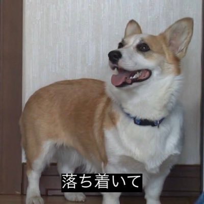 れなせれ