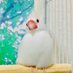 くーちゃん (@kuchan_mof) Twitter profile photo くーちゃん (@kuchan_mof) Twitter profile photo