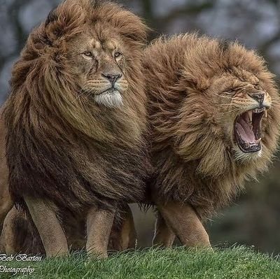 Jorgesa04727721's profile picture. 