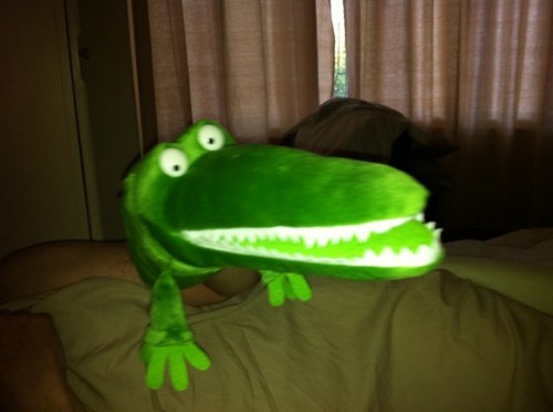The green crocodile is not me I have a slightly smaller mouth.... my cats also tweet @mrbfatcat @lennyfatcat.