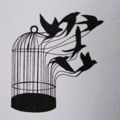 La libertad es la única opción. Que nada , fuera de tus convicciones, te oblige o someta 💪🏼