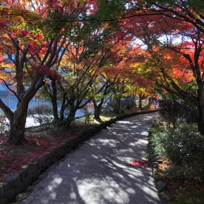 moonya0808's profile picture. tus M1