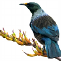 NZAS (@nzscientists) 's Twitter Profile Photo NZAS (@nzscientists) 's Twitter Profile Photo