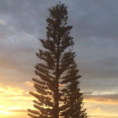 notvictoryuh's profile picture. 19 // Explore the World and Escape Reality ✈🌏