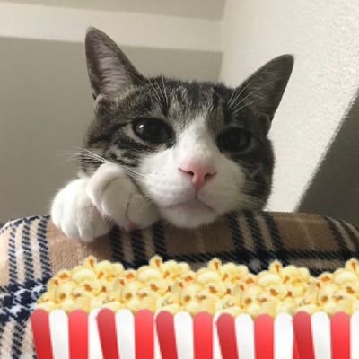 Paulz 十五分钟 朴素又健康的一餐 有机小松菜 有机纳豆 还有减盐鯖