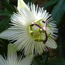 Wanda Pool - @wanda123456789 - Twitter