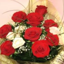 pablo vincent elobu - @VElobu - Twitter