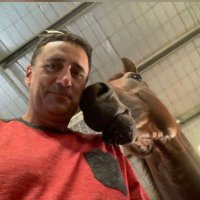 David Raphael (@racingraphael) 's Twitter Profile