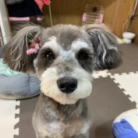 くぅ&ゆき (@kuu_yuki1225) Twitter profile photo