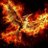 koin_bit's profile image