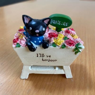 ピン、ラブ、チャイ、ルカ💜4匹の保護猫達と家族と暮らしています。毎日色々可愛い出来事に癒されてます。 K-POPとヨガとアロマが好きです💜 いいね👍 RT✨フォロー🙆‍♀️ありがとうございます❣️無言フォロー失礼します🙏