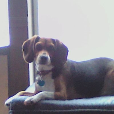 DouglasConley17's profile picture. I like hunting fishing and being outdoors