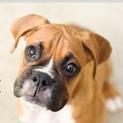 Bruce21972125's profile picture. 