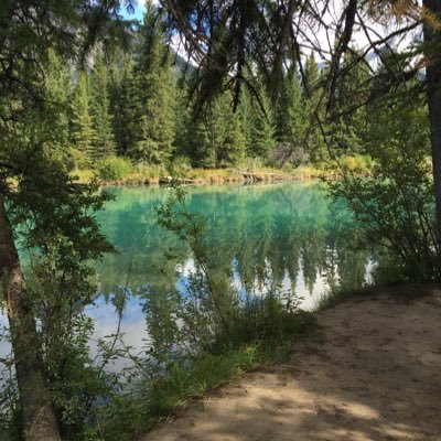 Thinkoutloud82 🇨🇦💜🟧 Profile