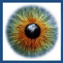 Thomas Jerome Newton - @jerome_newton - Twitter