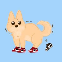 スニ柴🐶　世界で1匹だけのスニーカーヘッズ👟 (@suni_shiba) Twitter profile photo