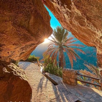 NHH011's profile picture. 