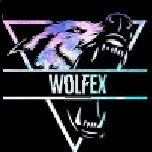 Wolfex(@Wolfex12960505) 's Twitter Profile Photo