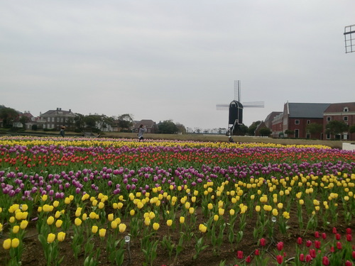 I'm Japanese live in Nagasaki , was born in Fukuoka, Japan. I have two kids and I'm interested in English education for kids!! I teach English for kids.