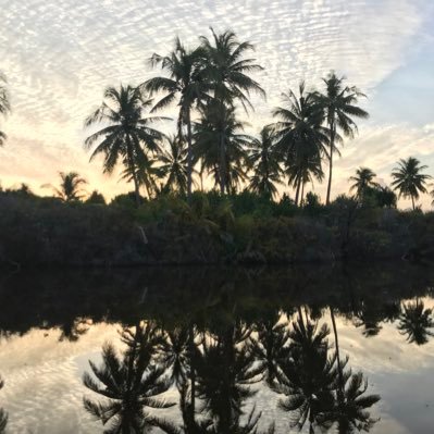 iloshikolhu's profile picture. Neutral / What’s on your mind ?