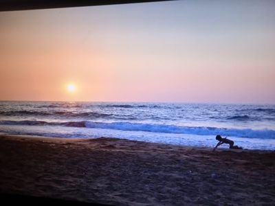 laluz_22's profile picture. 