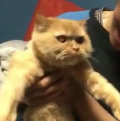 ddeungest_'s profile picture. 🐸🚬