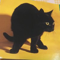 ねんねこ (@matatabi_r) 's Twitter Profile Photo ねんねこ (@matatabi_r) 's Twitter Profile Photo