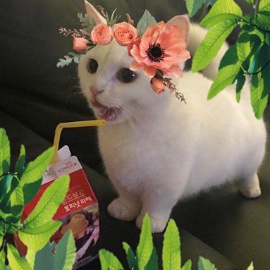 SadidaPLさんのプロフィール画像
