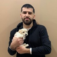 Serhat Hergüner (@hergunserhat) Twitter profile photo