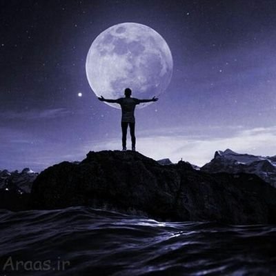 Alireza00061468's profile picture. ‏فالو = فالو