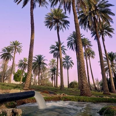 h1QbgZLbLiyBRLe's profile picture. الشعر حياه