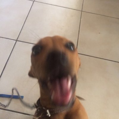 contreraxsh's profile picture.