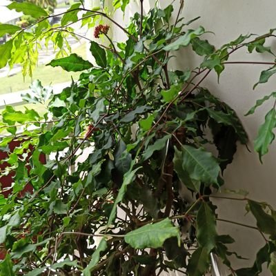 jeanmarieblack's profile picture. 