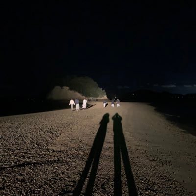my_kds8's profile picture. 技術職やってるおじさん。別アカに専念するので、ここは適当に散らかします