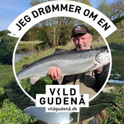 FrodeNielse's profile picture. My political views: I'm basically against anything that kills people or destroys the planet we live on.