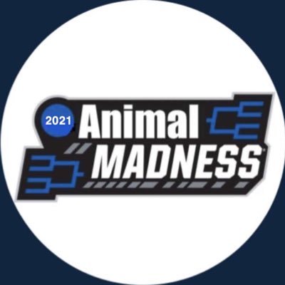 The official Twitter account of Animal Bracket Madness, brought to you by the Committee of Animal Bracketology. For the animals, by the people.