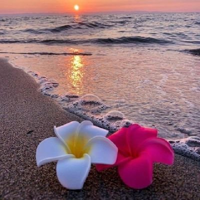 RKy4UpE0jHUuQ0X's profile picture. 🇸🇦🇸🇦🇸🇦🇸🇦