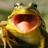 rezugadada's profile picture. 