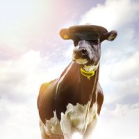 Censortec (@censortec) 's Twitter Profile Photo Censortec (@censortec) 's Twitter Profile Photo
