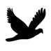 FreeSpeech (@freespeechirony) Twitter profile photo FreeSpeech (@freespeechirony) Twitter profile photo