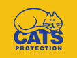 This is the Cats Protection Wales twitter page. 
We'll be tweeting about CP events, volunteers and much more.
Tweet us if you have any questions.