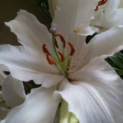 Scabar3's profile picture. 